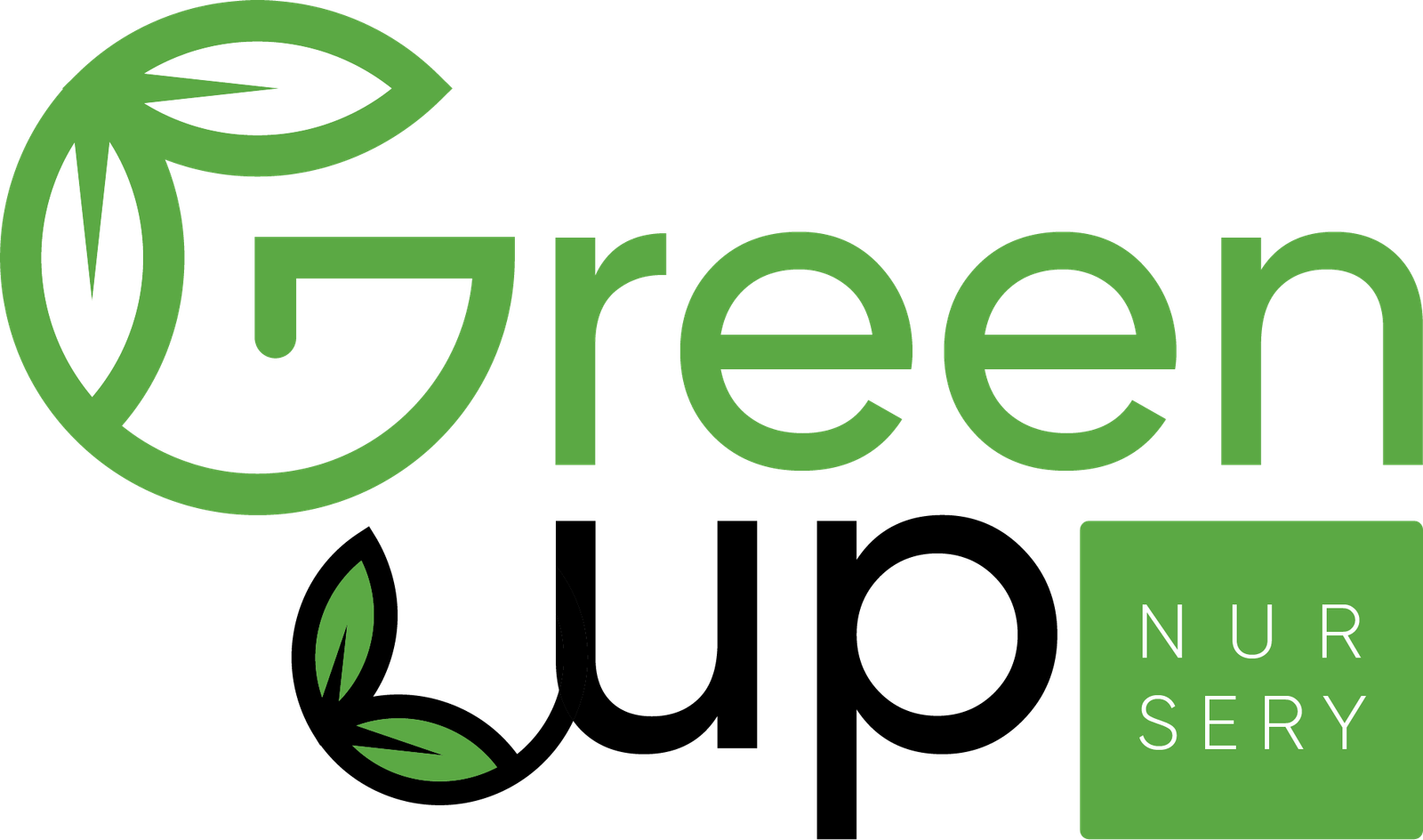 Green Up Nursery Best Collection of Plants for Your Garden
